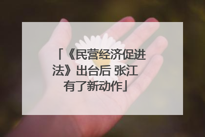 《民营经济促进法》出台后 张江有了新动作