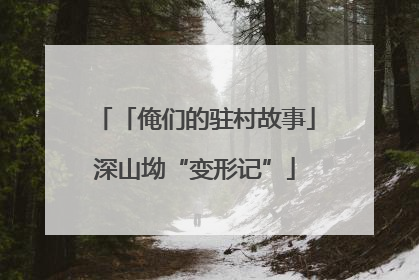 「俺们的驻村故事」深山坳“变形记”