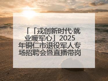 「戎创新时代·就业暖军心」2025年铜仁市退役军人专场招聘会暨直播带岗活动顺利举行