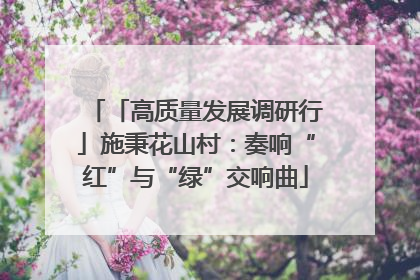「高质量发展调研行」施秉花山村：奏响“红”与“绿”交响曲
