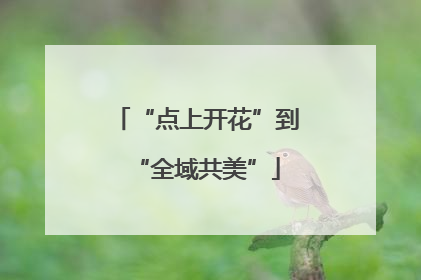 “点上开花”到“全域共美”