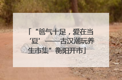 “爸气十足，爱在当‘夏’——古汉潮玩养生市集”衡阳开市