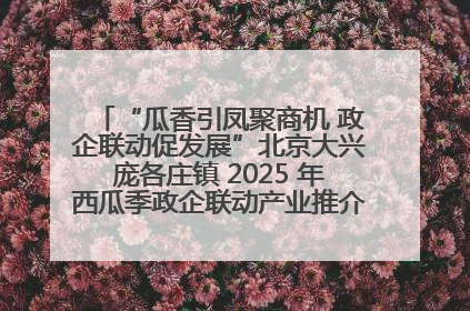 “瓜香引凤聚商机 政企联动促发展”北京大兴庞各庄镇 2025 年西瓜季政企联动产业推介活动圆满举行