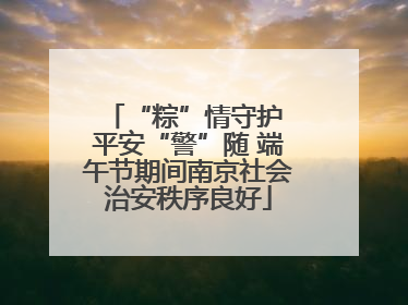 “粽”情守护 平安“警”随 端午节期间南京社会治安秩序良好