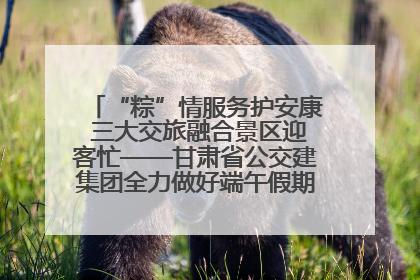 “粽”情服务护安康 三大交旅融合景区迎客忙——甘肃省公交建集团全力做好端午假期景区运营工作