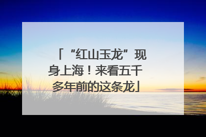 “红山玉龙”现身上海！来看五千多年前的这条龙