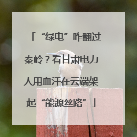 “绿电”咋翻过秦岭？看甘肃电力人用血汗在云端架起“能源丝路”