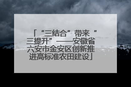 “三结合”带来“三提升”——安徽省六安市金安区创新推进高标准农田建设