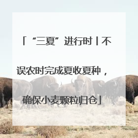 “三夏”进行时丨不误农时完成夏收夏种，确保小麦颗粒归仓