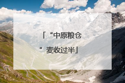 “中原粮仓”麦收过半