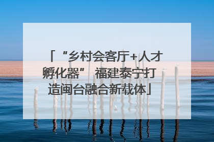 “乡村会客厅+人才孵化器” 福建泰宁打造闽台融合新载体