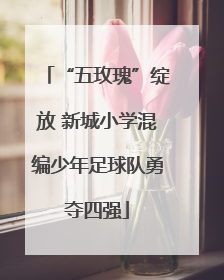 “五玫瑰”绽放 新城小学混编少年足球队勇夺四强
