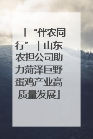 “伴农同行”｜山东农担公司助力菏泽巨野蛋鸡产业高质量发展