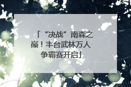 “决战”南森之巅！丰台武林万人争霸赛开启