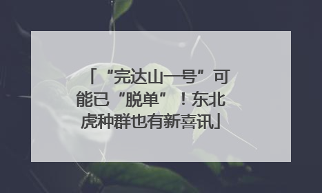 “完达山一号”可能已“脱单”！东北虎种群也有新喜讯