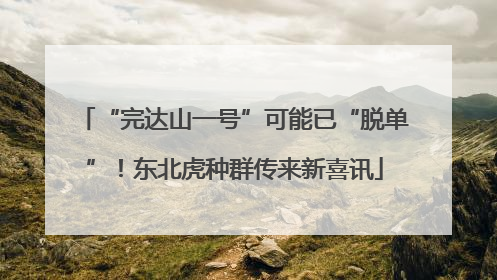 “完达山一号”可能已“脱单”！东北虎种群传来新喜讯