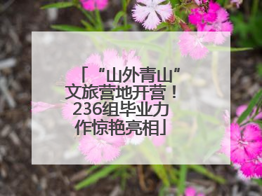 “山外青山”文旅营地开营！236组毕业力作惊艳亮相