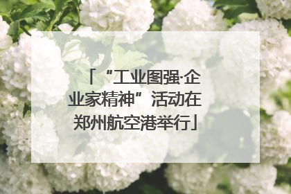 “工业图强·企业家精神”活动在郑州航空港举行