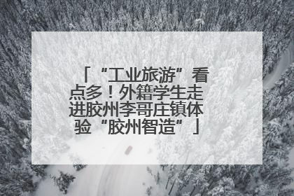 “工业旅游”看点多！外籍学生走进胶州李哥庄镇体验“胶州智造”