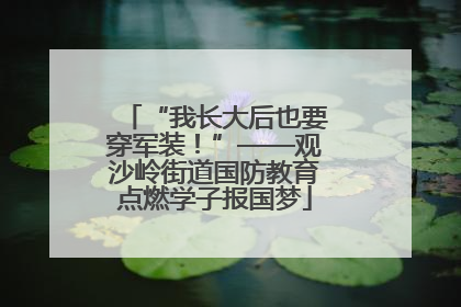 “我长大后也要穿军装！”——观沙岭街道国防教育点燃学子报国梦