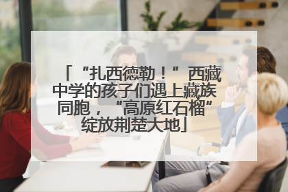 “扎西德勒！”西藏中学的孩子们遇上藏族同胞，“高原红石榴”绽放荆楚大地