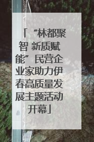 “林都聚智 新质赋能”民营企业家助力伊春高质量发展主题活动开幕
