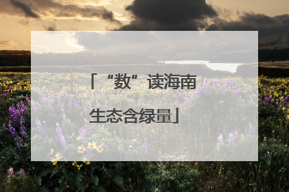 “数”读海南生态含绿量