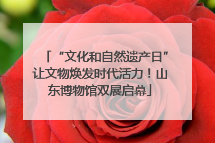 “文化和自然遗产日”让文物焕发时代活力！山东博物馆双展启幕