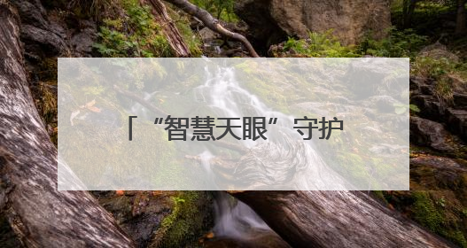 “智慧天眼”守护黄河生态 联通助力东明县打造生物多样性保护新范式
