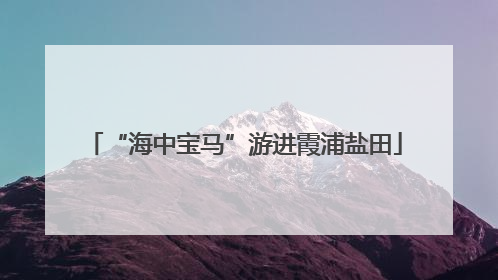“海中宝马”游进霞浦盐田