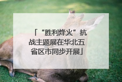 “胜利烽火”抗战主题展在华北五省区市同步开展