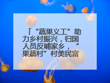 “蔬果义工”助力乡村振兴，归国人员反哺家乡，“果蔬村”村美民富香飘远近