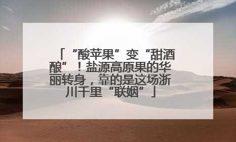 “酸苹果”变“甜酒酿”！盐源高原果的华丽转身，靠的是这场浙川千里“联姻”