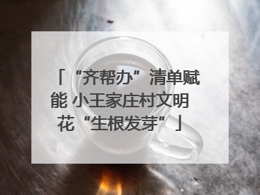 “齐帮办”清单赋能 小王家庄村文明花“生根发芽”