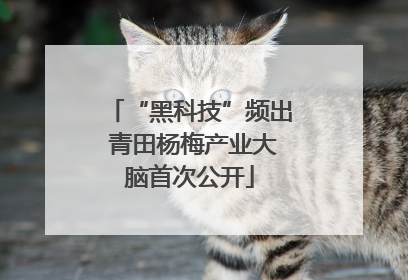 “黑科技”频出 青田杨梅产业大脑首次公开
