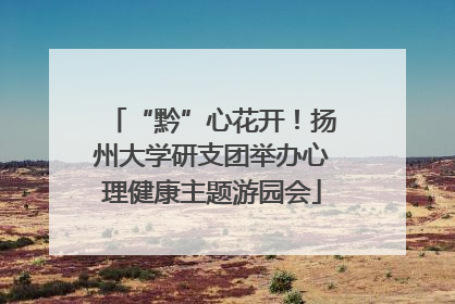 “黔”心花开！扬州大学研支团举办心理健康主题游园会