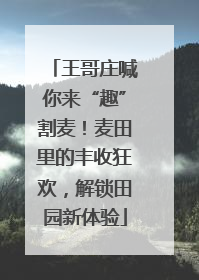 王哥庄喊你来“趣”割麦！麦田里的丰收狂欢，解锁田园新体验
