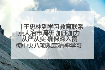 王忠林到学习教育联系点大冶市调研 加压加力 从严从实 确保深入贯彻中央八项规定精神学习教育取得实效