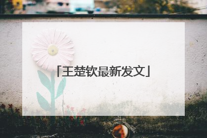 王楚钦最新发文
