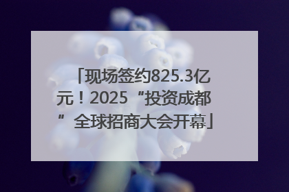 现场签约825.3亿元！2025“投资成都”全球招商大会开幕