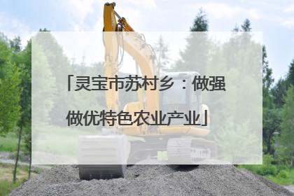 灵宝市苏村乡：做强做优特色农业产业