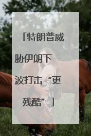 特朗普威胁伊朗下一波打击“更残酷”