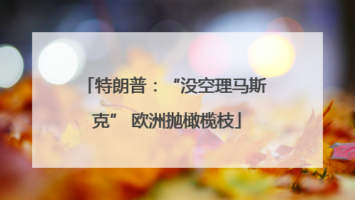 特朗普：“没空理马斯克” 欧洲抛橄榄枝