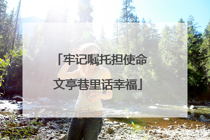 牢记嘱托担使命 文亭巷里话幸福