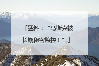 猛料：“马斯克被长期秘密监控！”