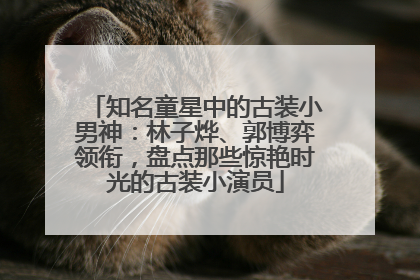 知名童星中的古装小男神：林子烨、郭博弈领衔，盘点那些惊艳时光的古装小演员