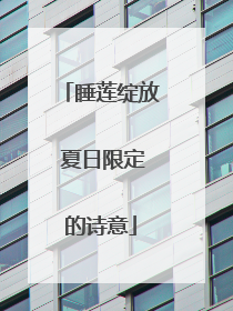 睡莲绽放 夏日限定的诗意