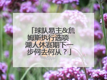 球队易主&詹姆斯执行选项 湖人休赛期下一步何去何从？
