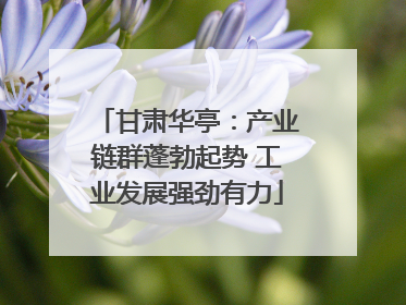甘肃华亭：产业链群蓬勃起势 工业发展强劲有力
