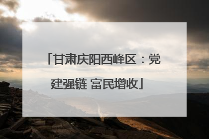 甘肃庆阳西峰区：党建强链 富民增收